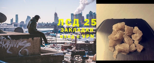 шишки Гусиноозёрск