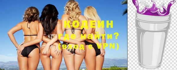 шишки Гусиноозёрск