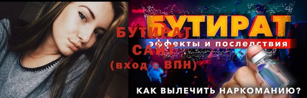 шишки Гусиноозёрск