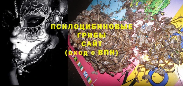 мяу мяу мука Гусь-Хрустальный