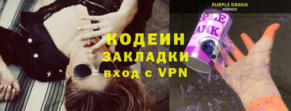 шишки Гусиноозёрск