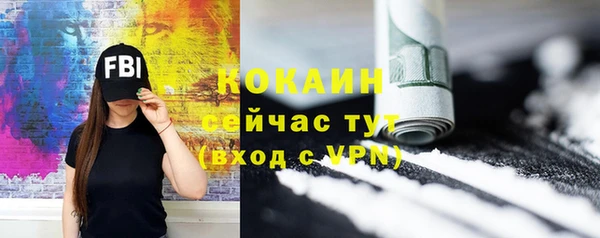 мяу мяу мука Гусь-Хрустальный