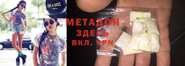шишки Гусиноозёрск