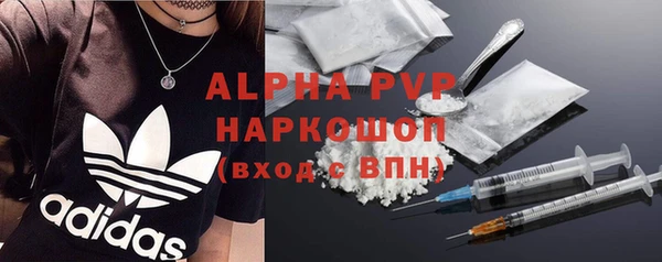 крисы Гусев