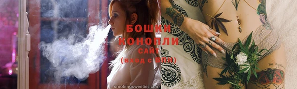 шишки Гусиноозёрск