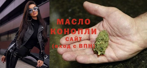 мяу мяу мука Гусь-Хрустальный