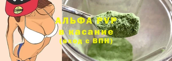 шишки Гусиноозёрск