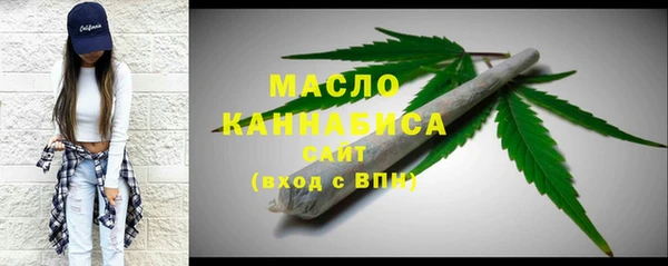 шишки Гусиноозёрск