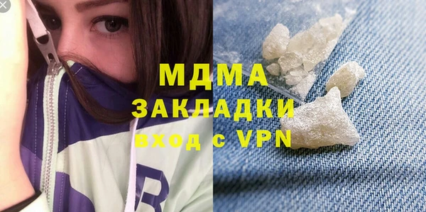 шишки Гусиноозёрск