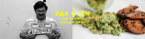 шишки Гусиноозёрск