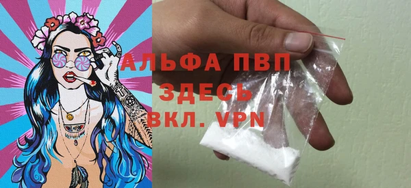 крисы Гусев