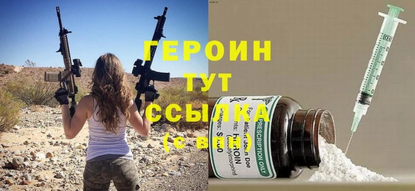 шишки Гусиноозёрск