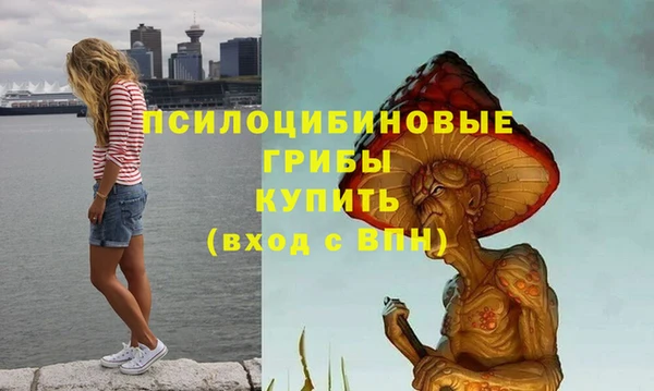 мяу мяу мука Гусь-Хрустальный