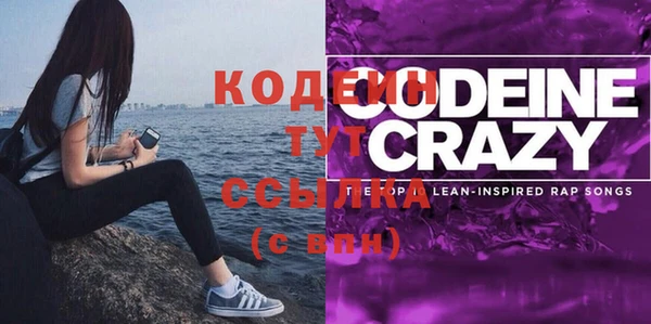 шишки Гусиноозёрск