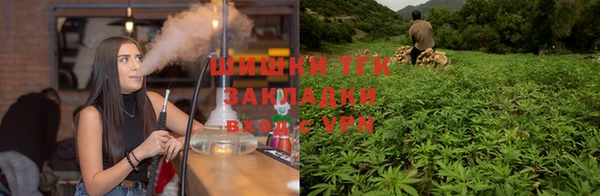 крисы Гусев