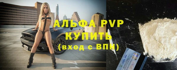 шишки Гусиноозёрск