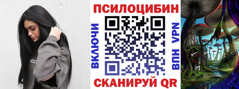 Псилоцибиновые грибы мицелий  сколько стоит  Павловск 