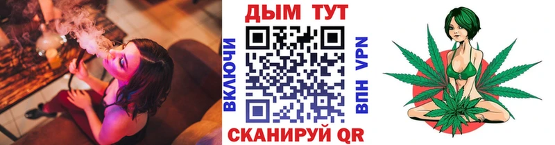 закладка  Павловск  МАРИХУАНА план 